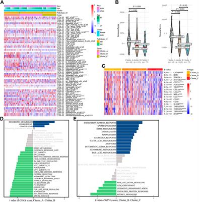 Characterization of glycosylation regulator-mediated glycosylation modification patterns and tumor microenvironment infiltration in hepatocellular carcinoma